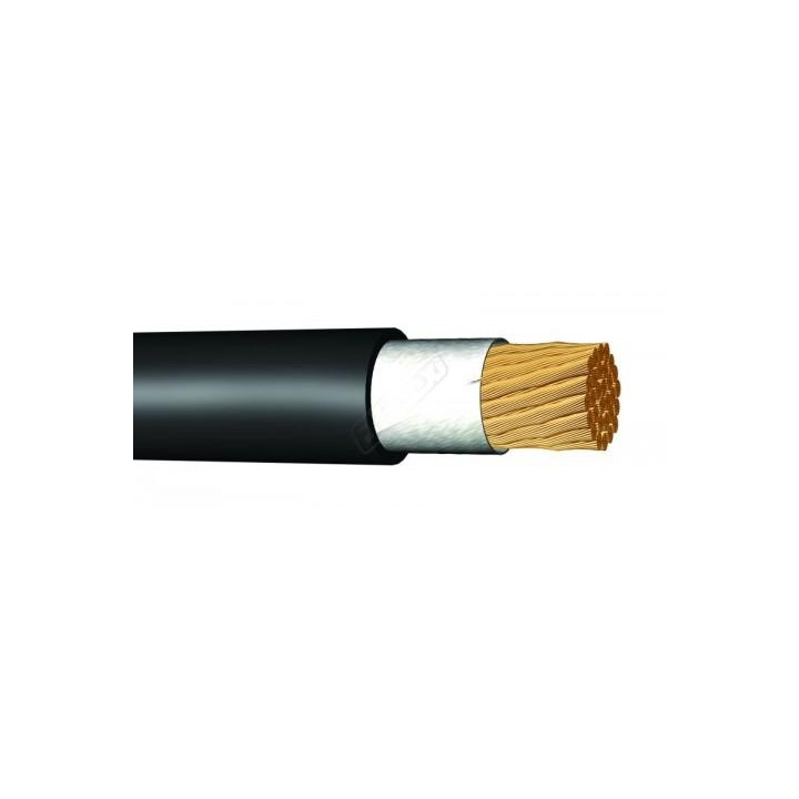 H01N2-D 50 (CGZ)