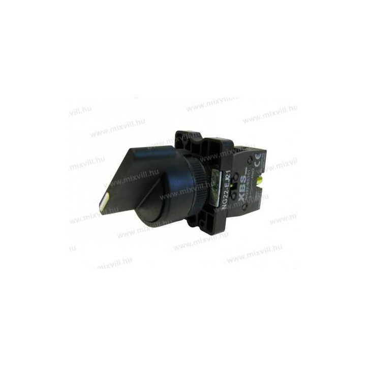 NG22-EJ21 2polohový otočný spínač s ovládacou pákou