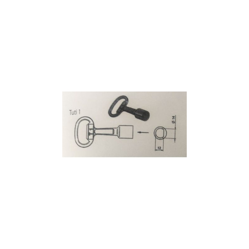 KLUC T1 TUTI