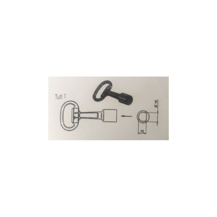 KLUC T1 TUTI