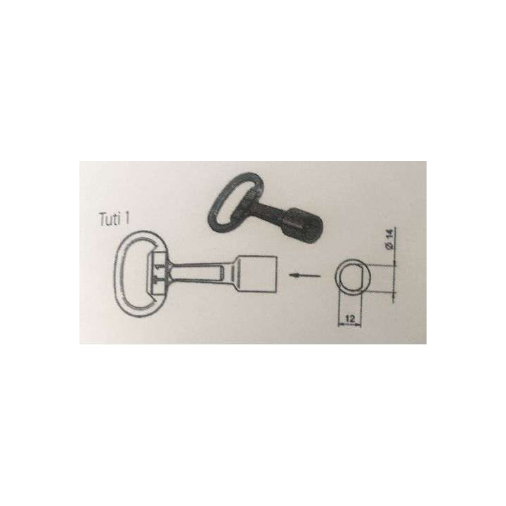 KLUC T1 TUTI