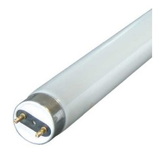Trubica 10W T8 330mm 6500K  Ei