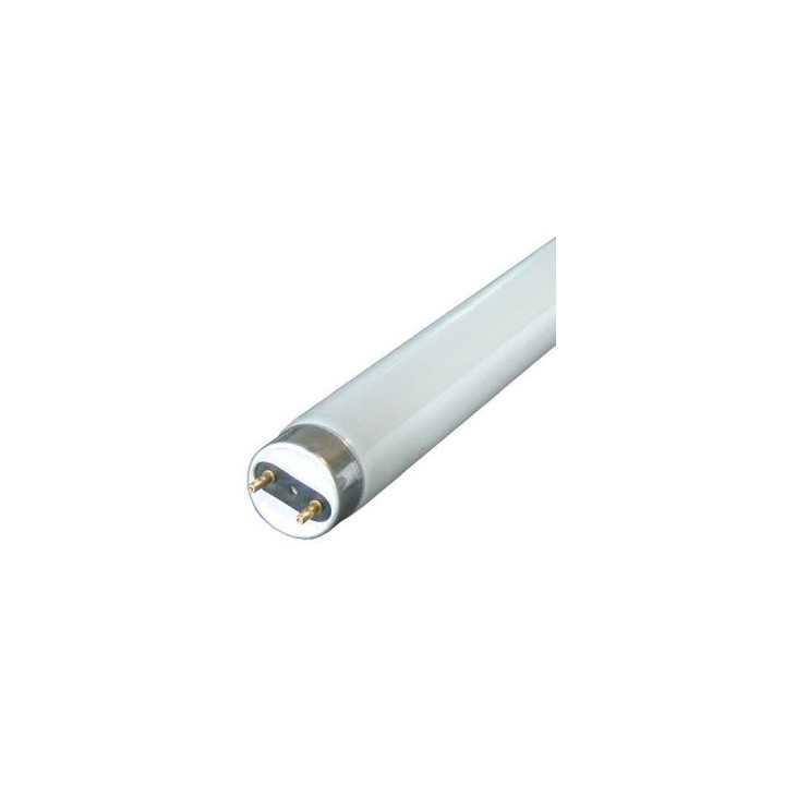 Trubica 10W T8 330mm 6500K  Ei