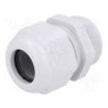 PG21/4x5,5  prechodka klas.typu IP65