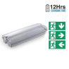 SKU83111 3W nudzové 12 hod IP65 6400K záruka 5 rokov