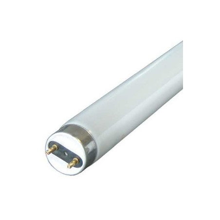 Trubica 15W/840 T8 Radium/Osram