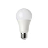 Max 12W E27 A60 3000K 1055lm LED