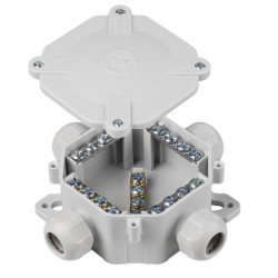 ACID.mala 6455-11 5. P/2 3/BM prázdna bez svoriek