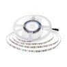 SKU212560 LED pás 4,2W/m IP 20  4000K