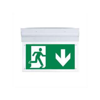 TA-6  núdzové svietidlo dole IP30